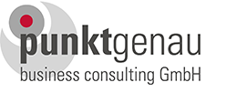 logo_punktgenau_248